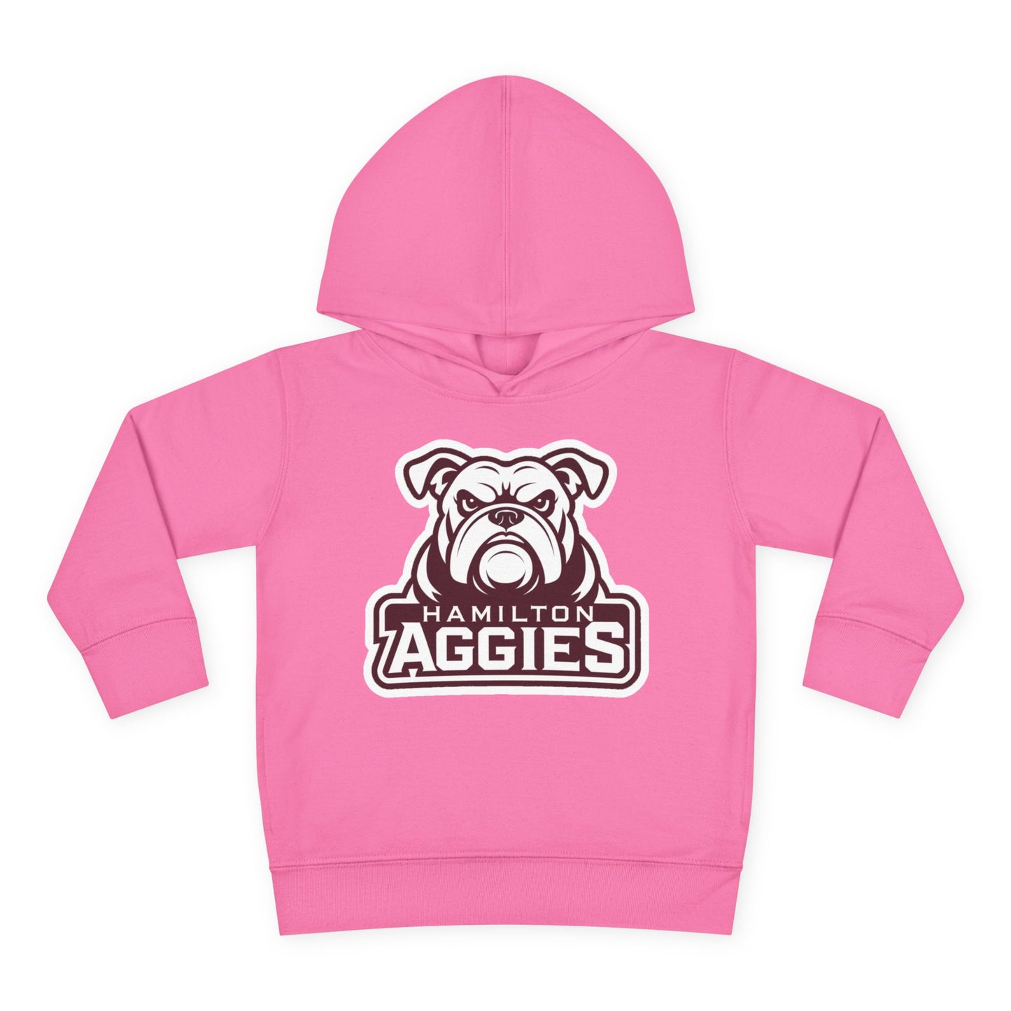 Toddler Hoodie Sweatshirt \ Hamilton Aggies \ HA4