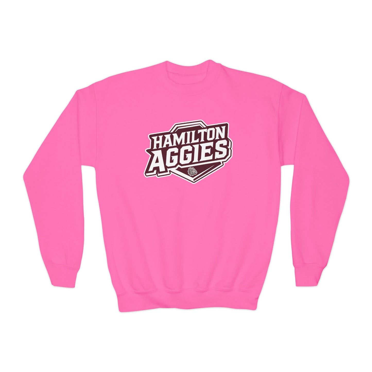 Youth Crewneck Sweatshirt \ Hamilton Aggies \ HA1