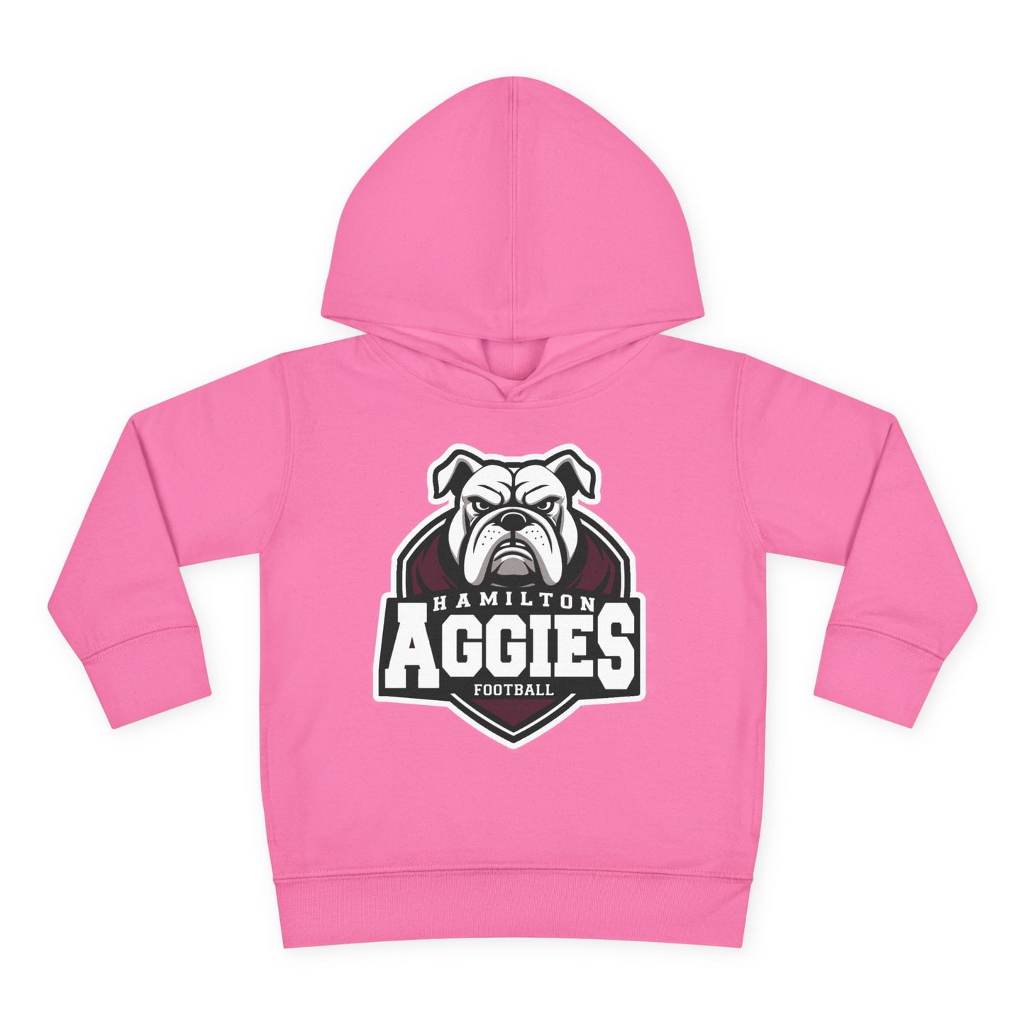 Toddler Hoodie Sweatshirt \ Hamilton Aggies Football \ HAF2