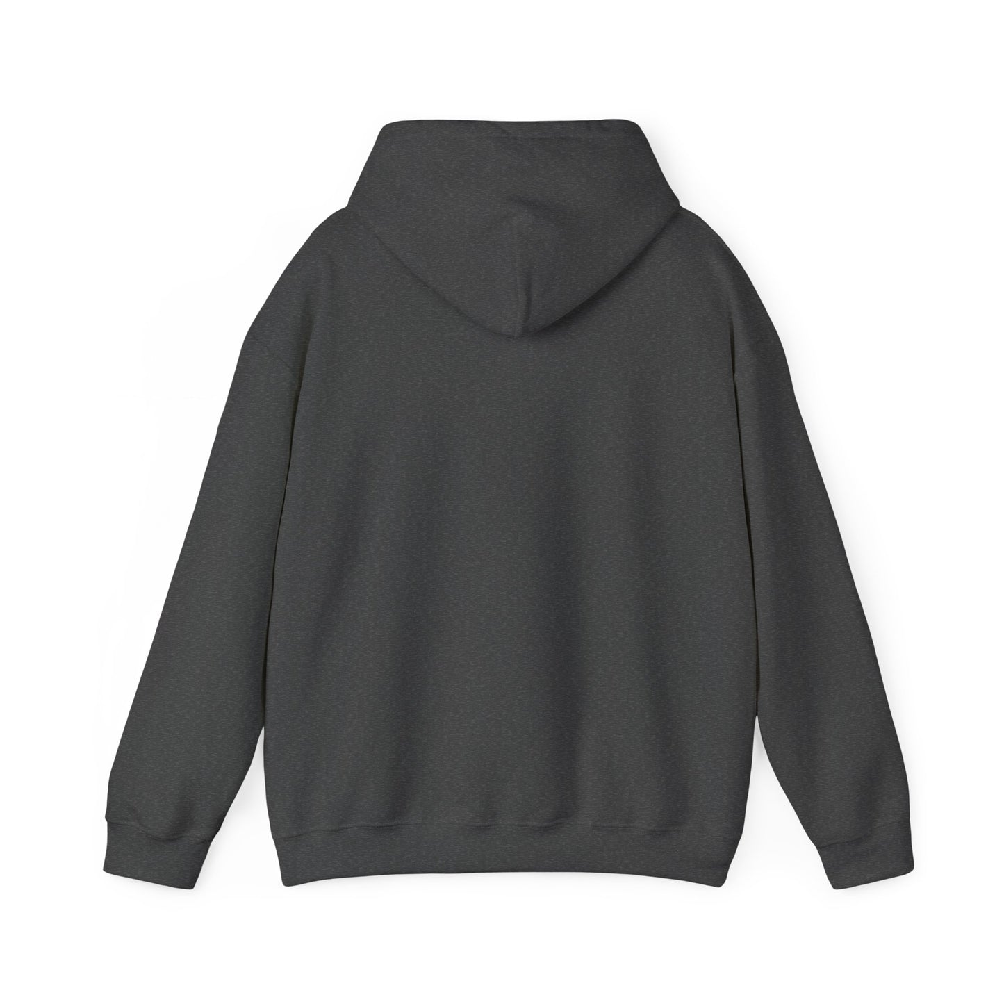 Adult Hoodie Sweatshirt \ Hackleburg Panthers Band \ HPB2