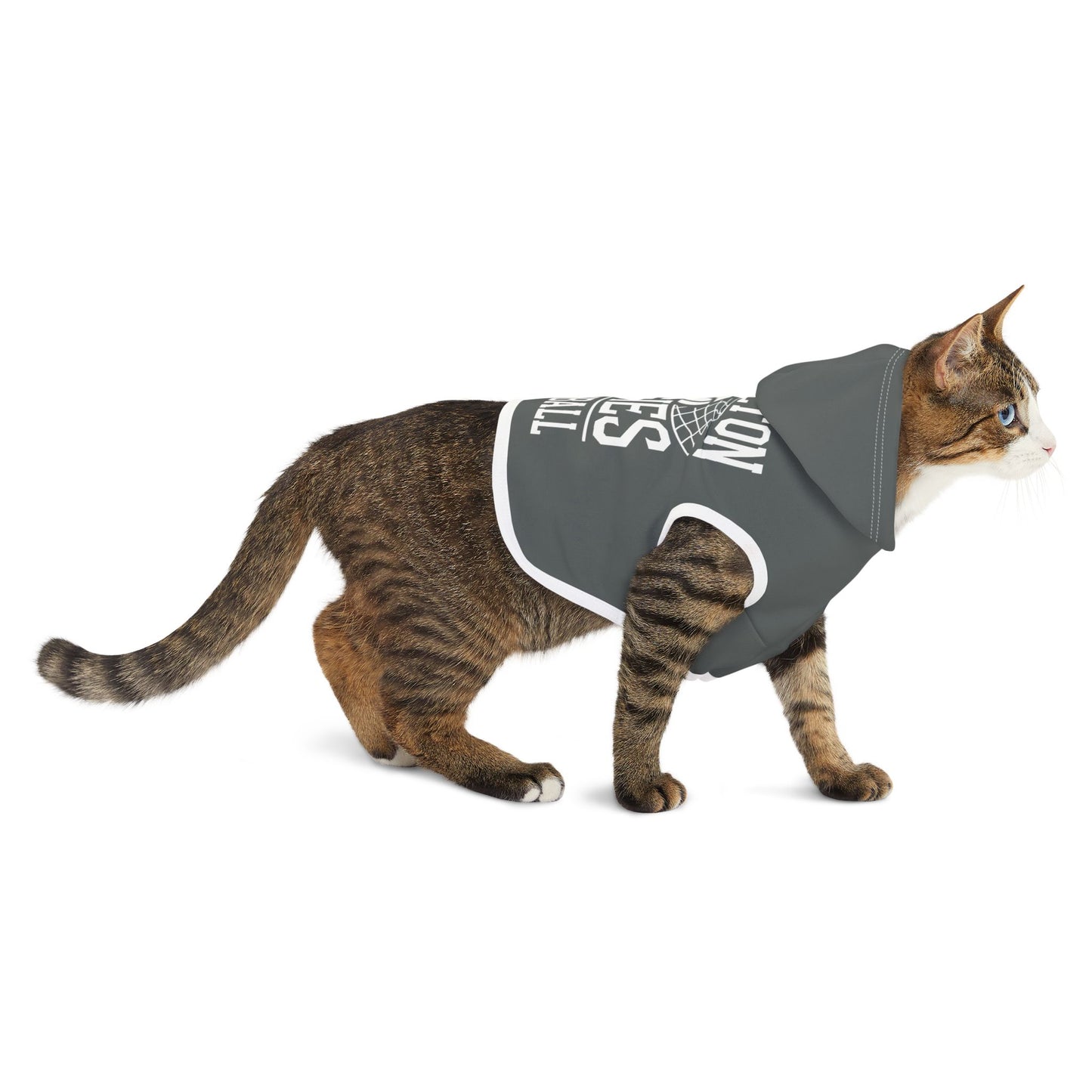 Pet Hoodie \ Hamilton Aggies Volleyball \ HAV2