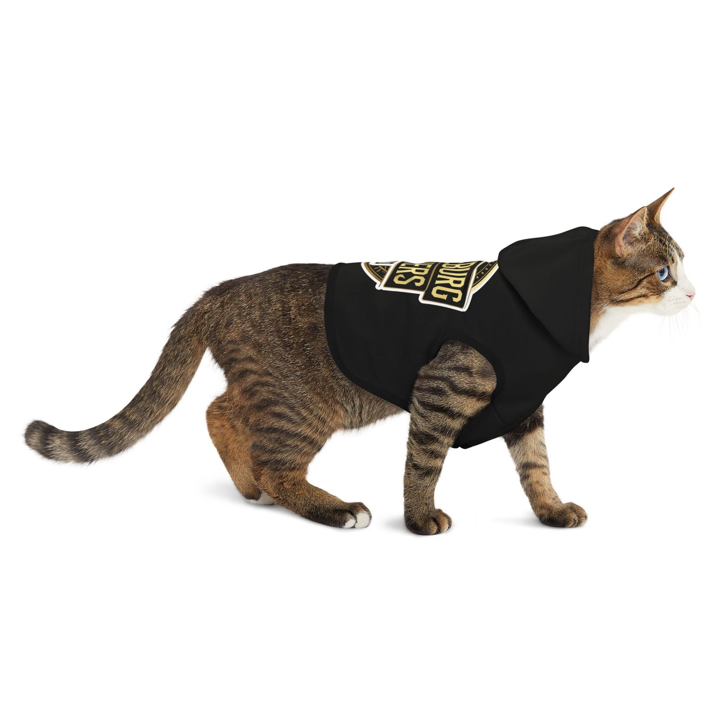 Pet Hoodie \ Hackleburg Panthers Band \ HPB2