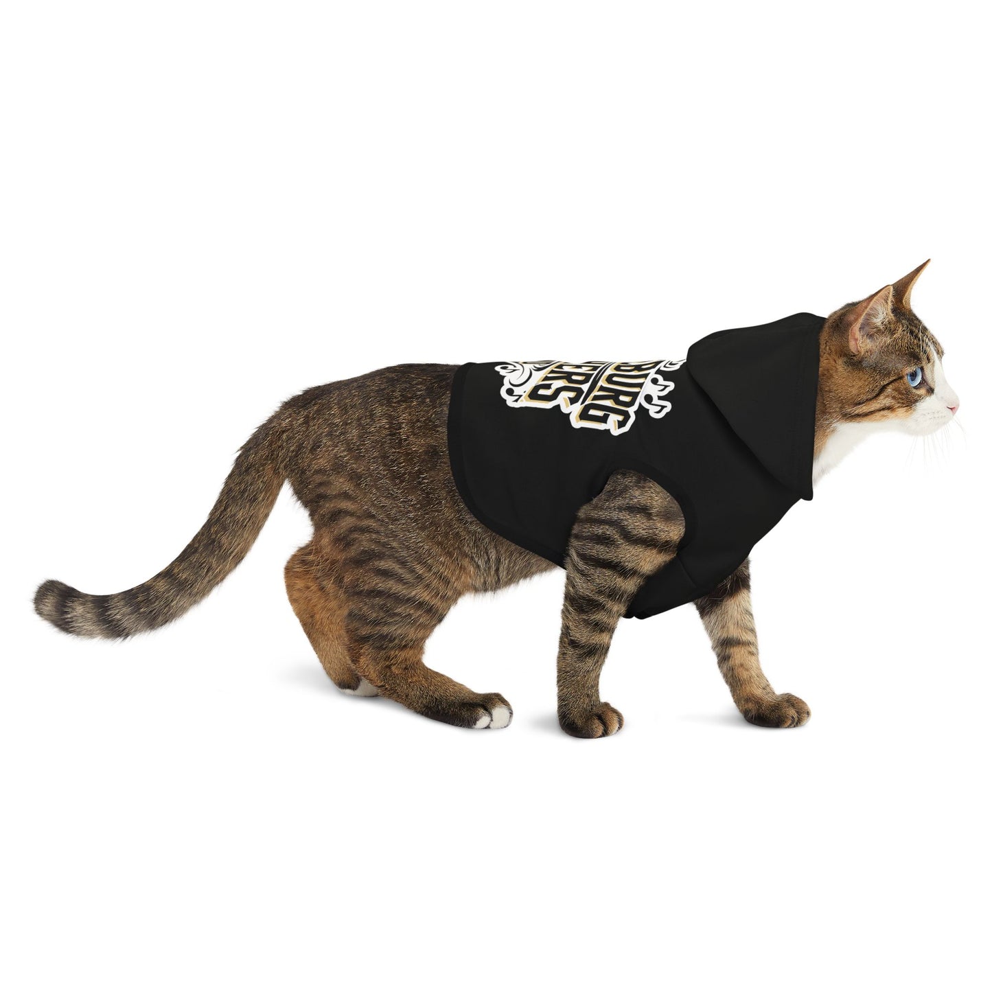 Pet Hoodie \ Hackleburg Panthers Band \ HPB1