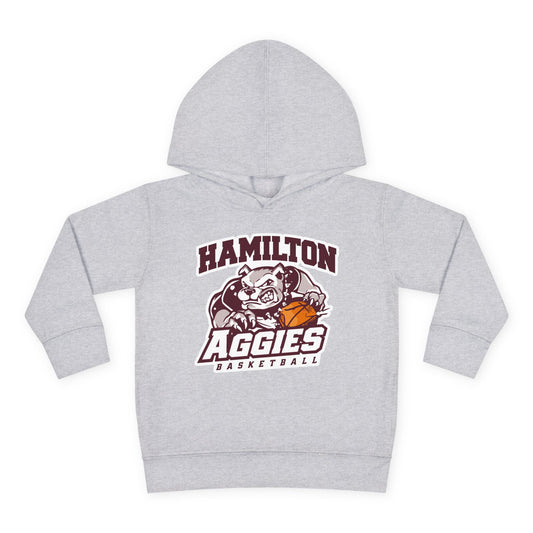 Toddler Hoodie Sweatshirt \ Hamilton Aggies Basketball \ HABK1