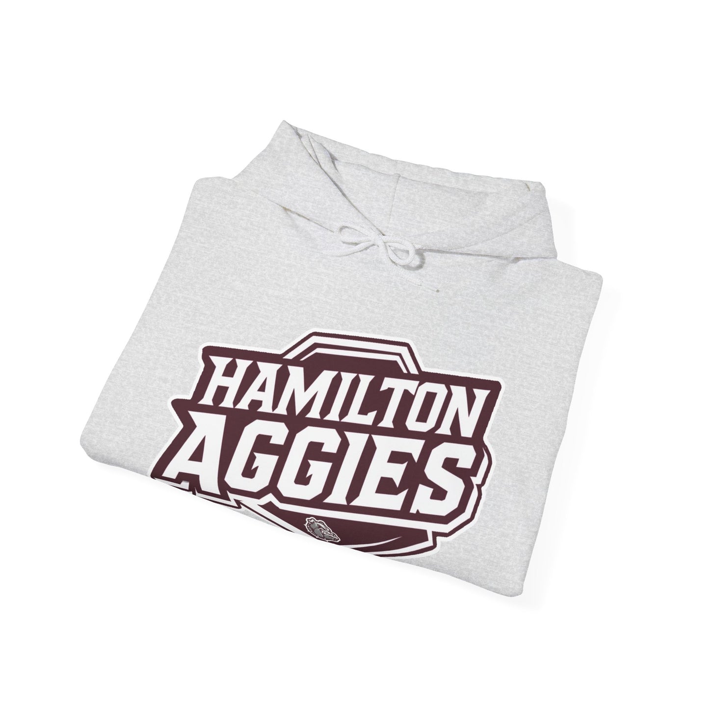 Adult Hoodie Sweatshirt \ Hamilton Aggies \ HA1