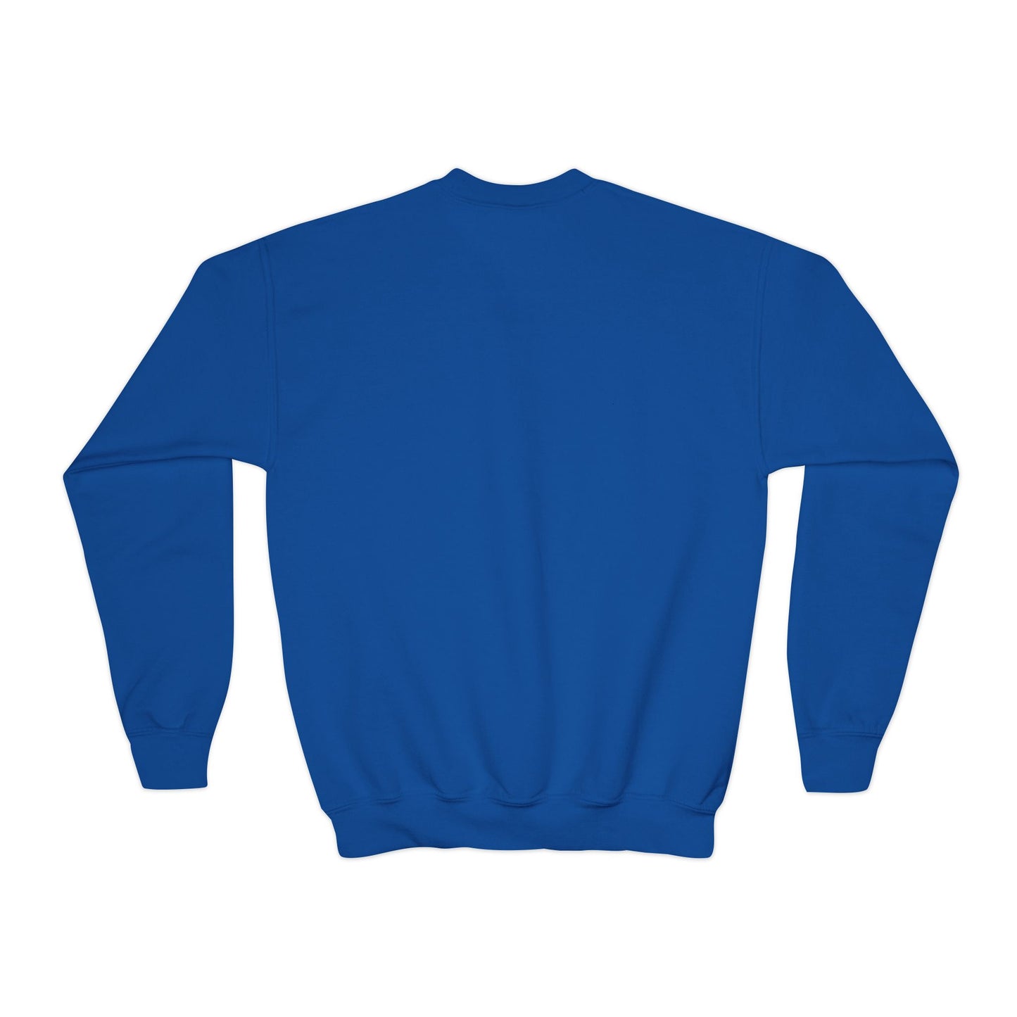 Youth Crewneck Sweatshirt \ Brilliant Tigers Volleyball \ BTV2