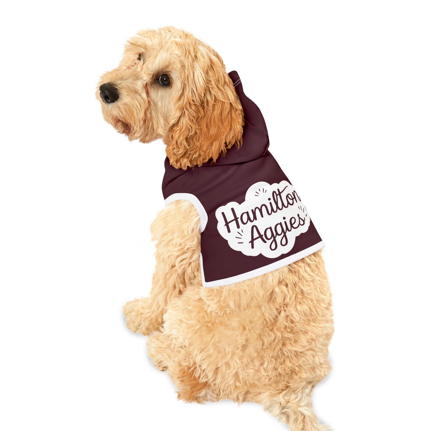 Pets Clothing and Accessories
