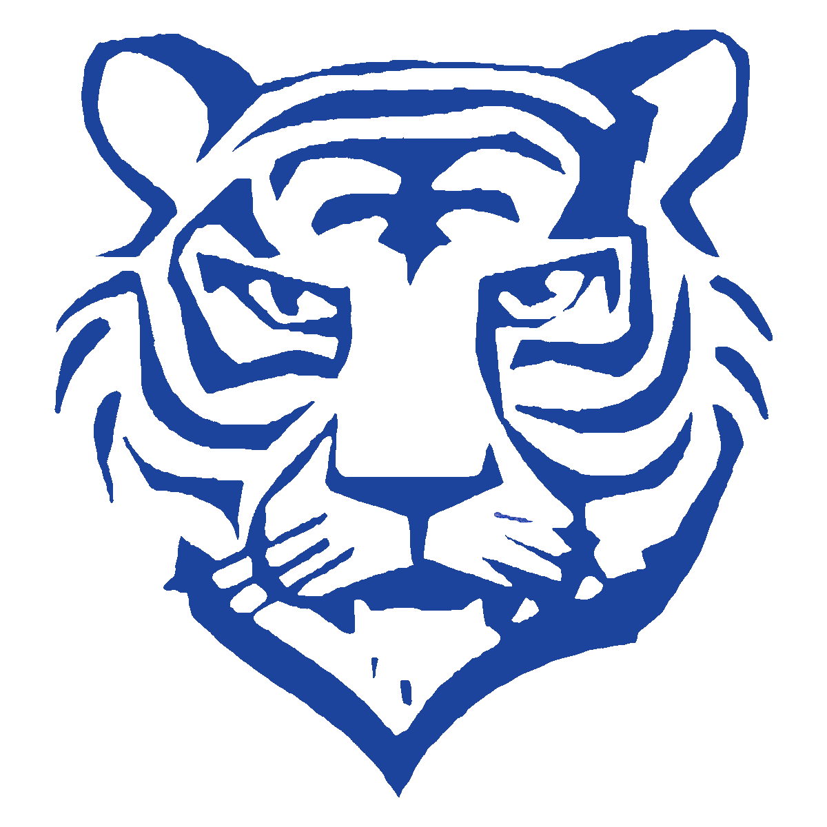 Brilliant Tigers