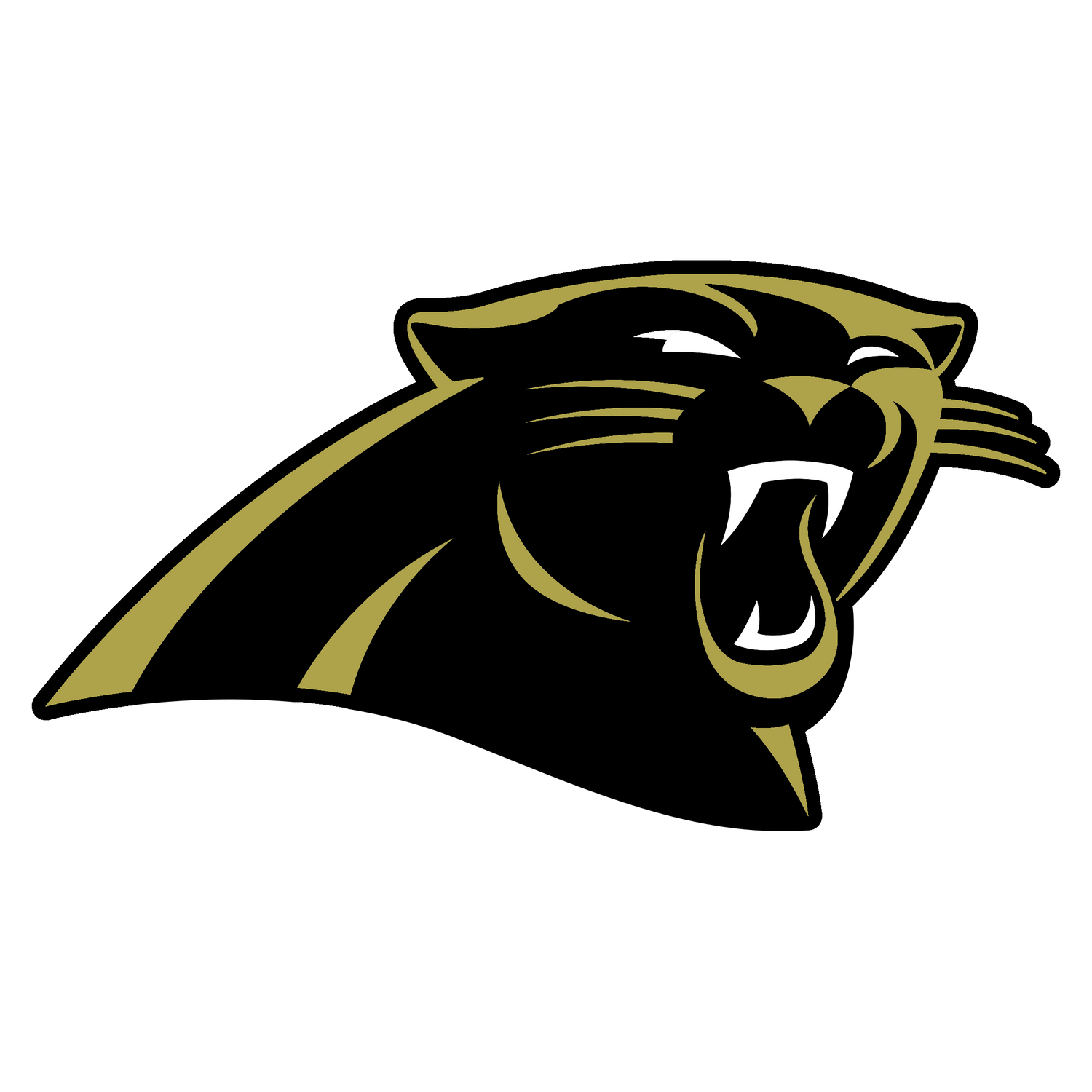 Hackleburg Panthers