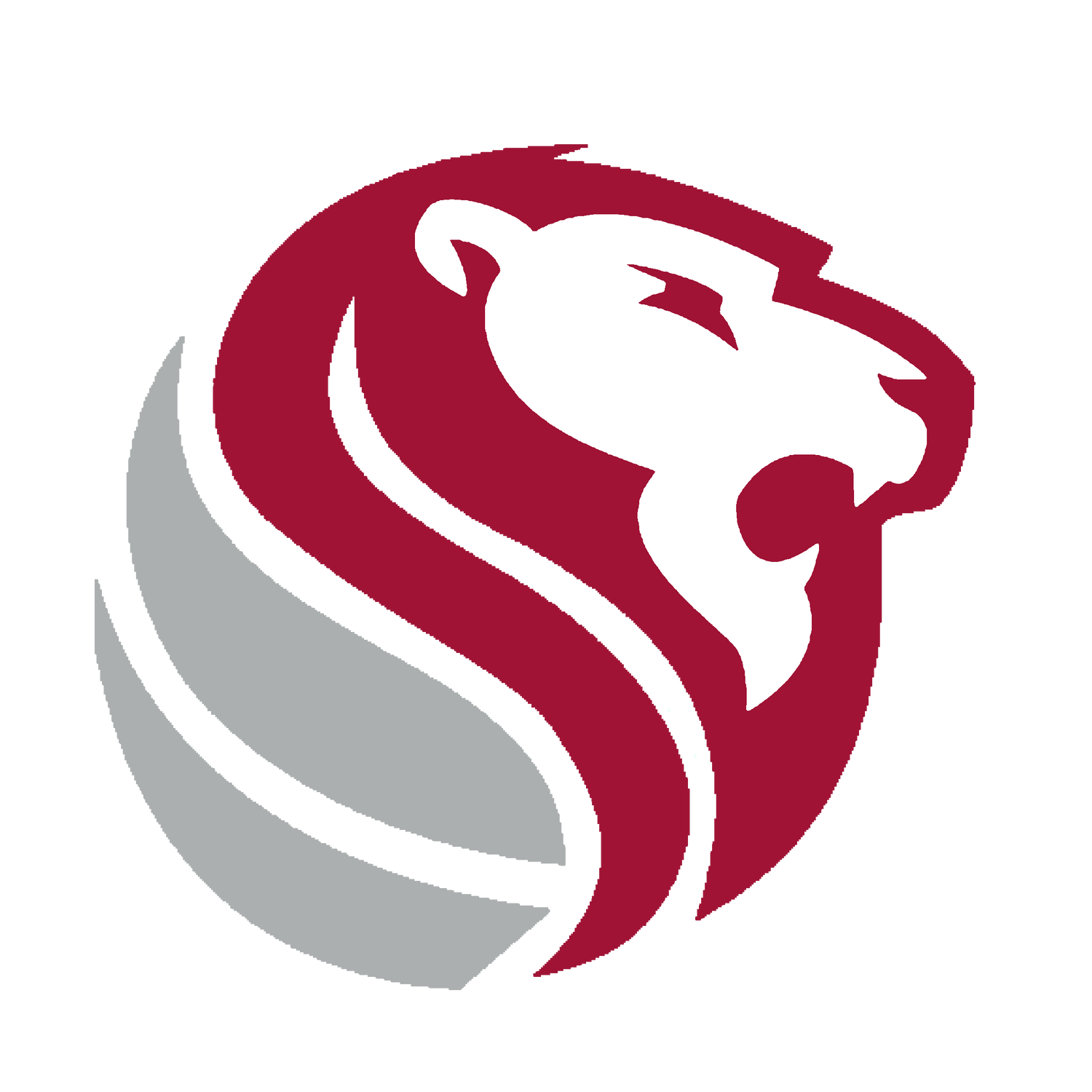 Haleyville Lions