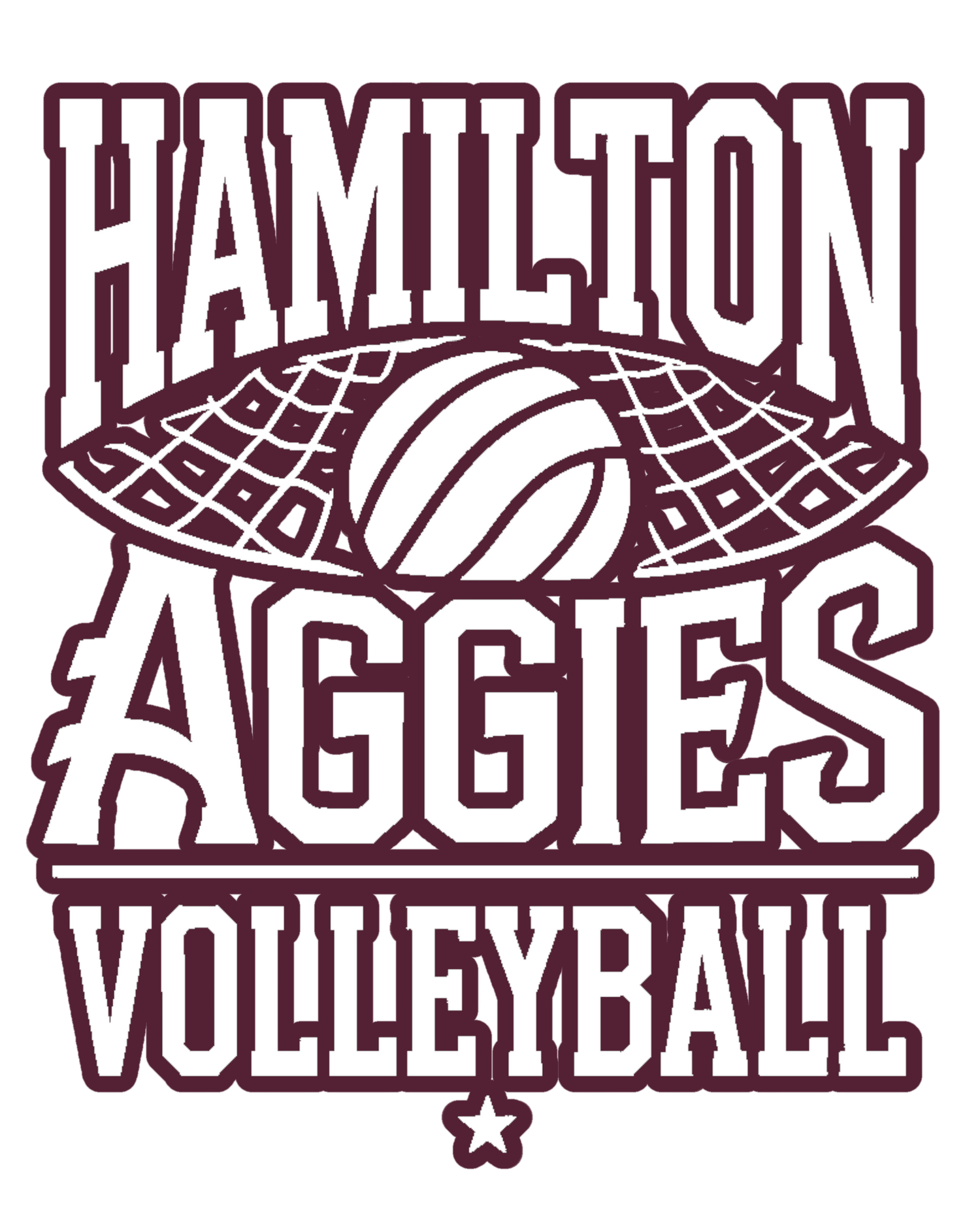 Hamilton Aggies Volleyball