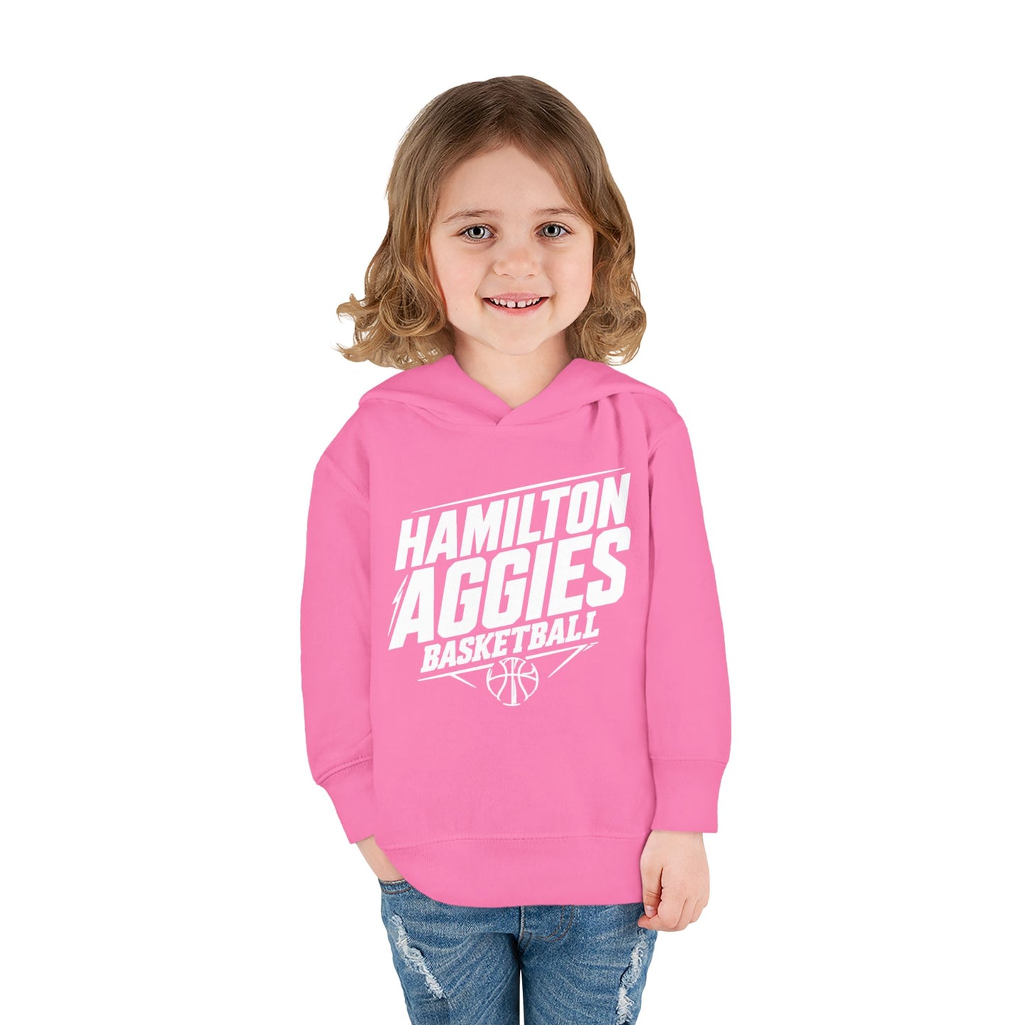 Toddler Hoodie Sweatshirt \ Hamilton Aggies Basketball \ HABB2