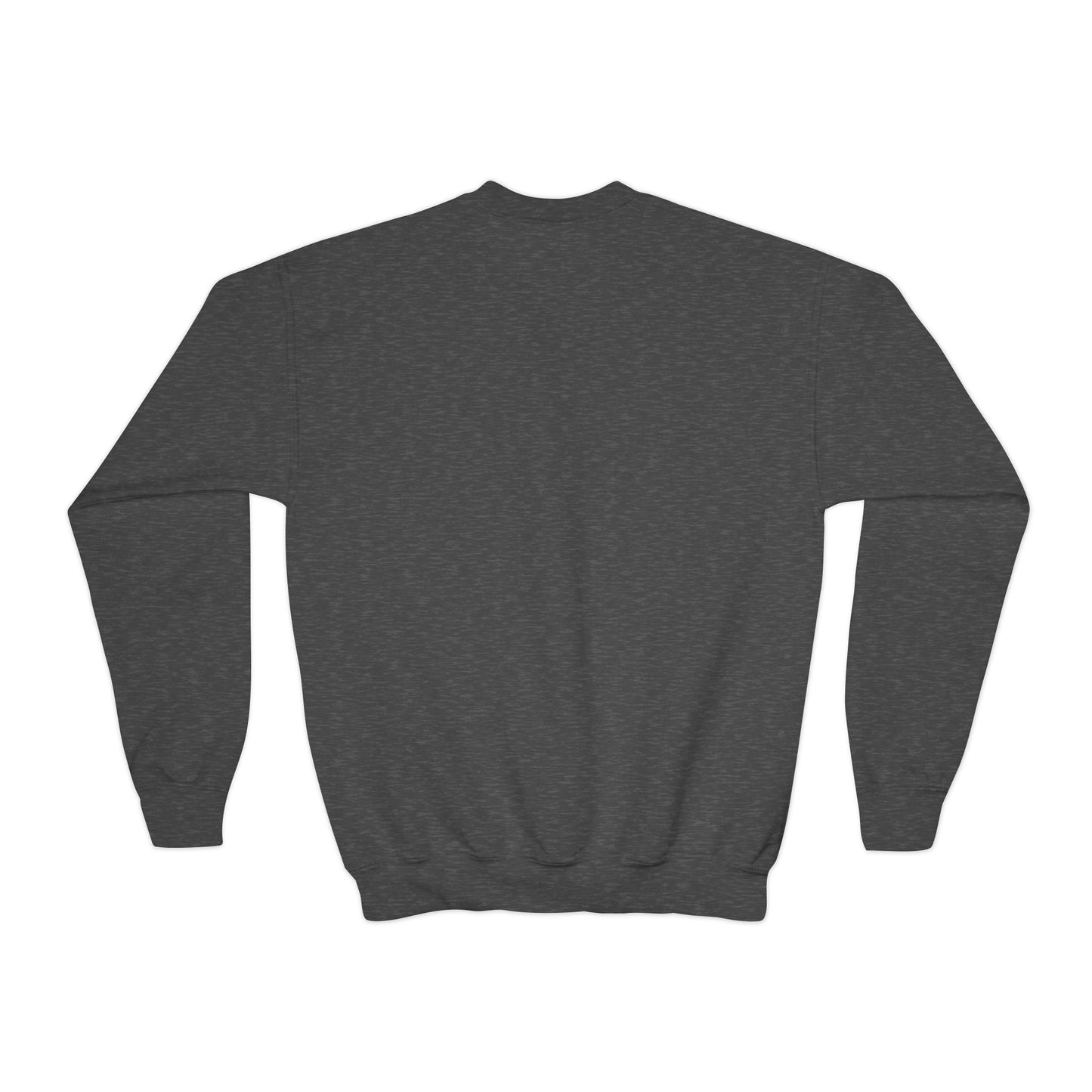Youth Crewneck Sweatshirt \ Hackleburg Panthers \ HP2