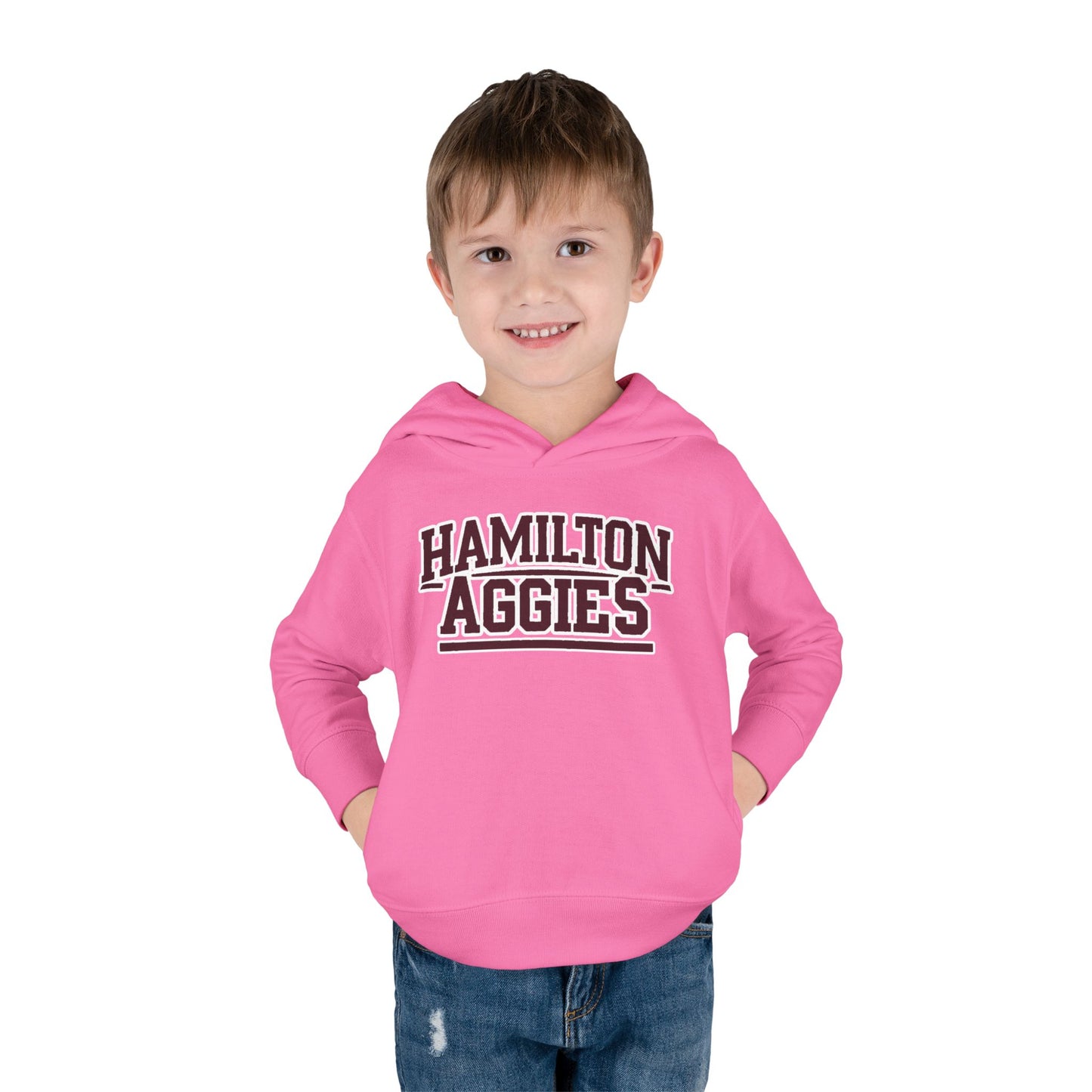 Toddler Hoodie Sweatshirt \ Hamilton Aggies \ HA2