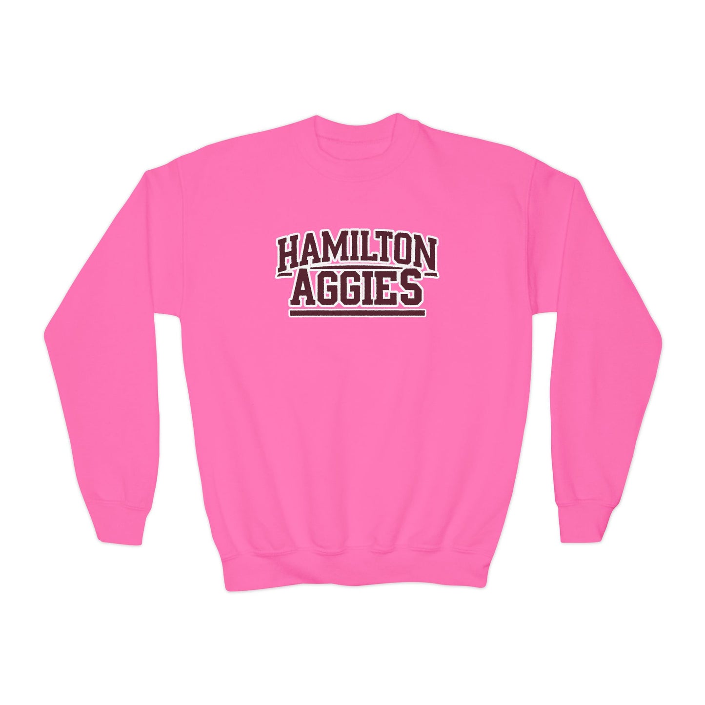 Youth Crewneck Sweatshirt \ Hamilton Aggies \ HA2