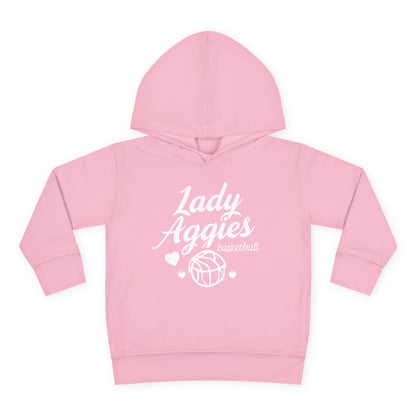 Toddler Hoodie Sweatshirt \ Hamilton Aggies Basketball \ HABBG2