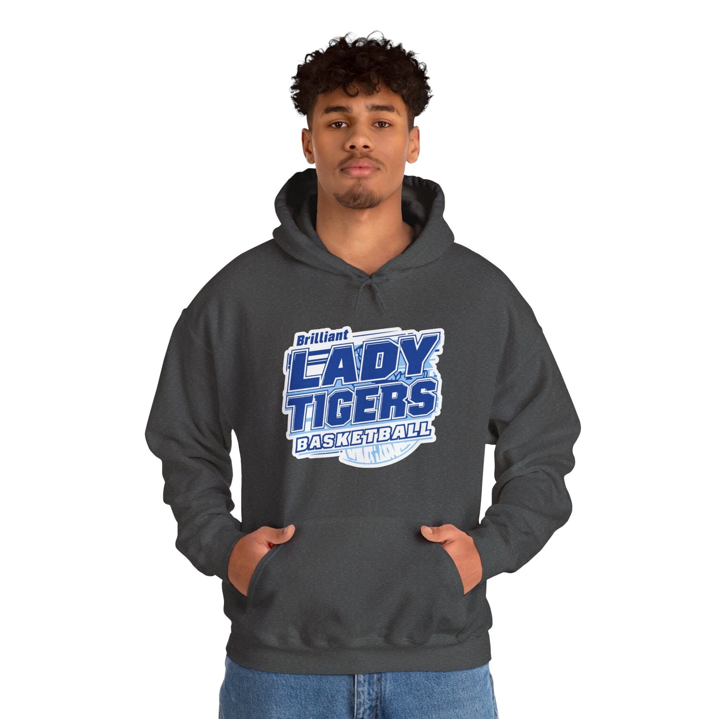 Adult Hoodie Sweatshirt \ Brilliant Tigers Basketball \ BTBKG2