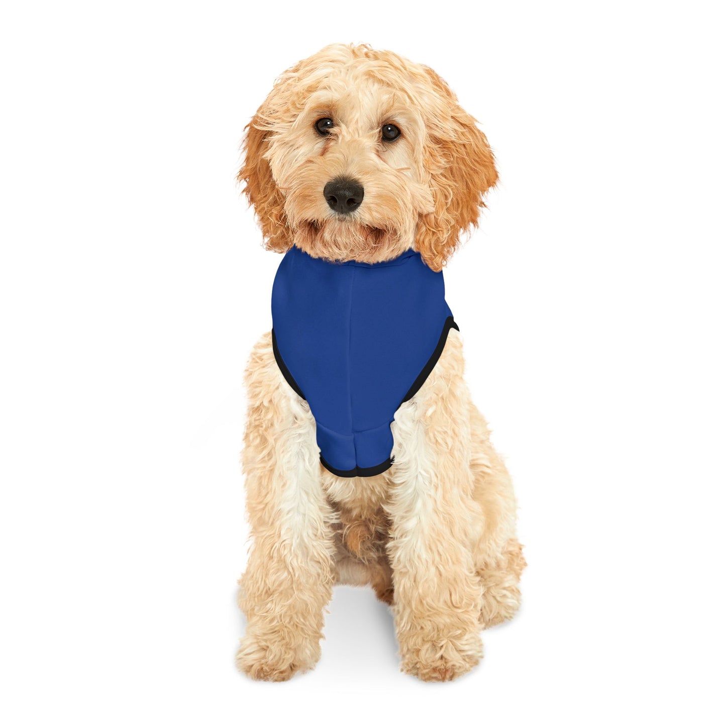 Pet Hoodie \ Brilliant Tigers Football \ BTF1