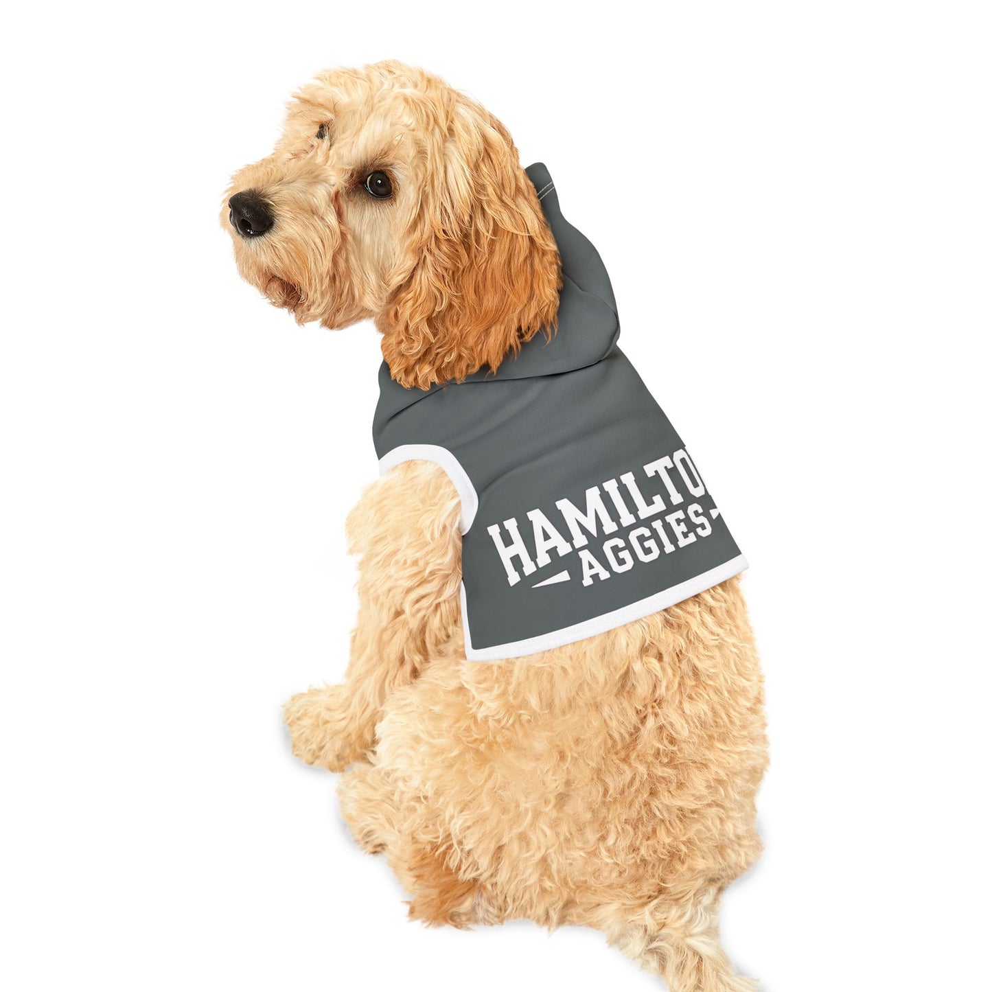 Pet Hoodie \ Hamilton Aggies \ HA3
