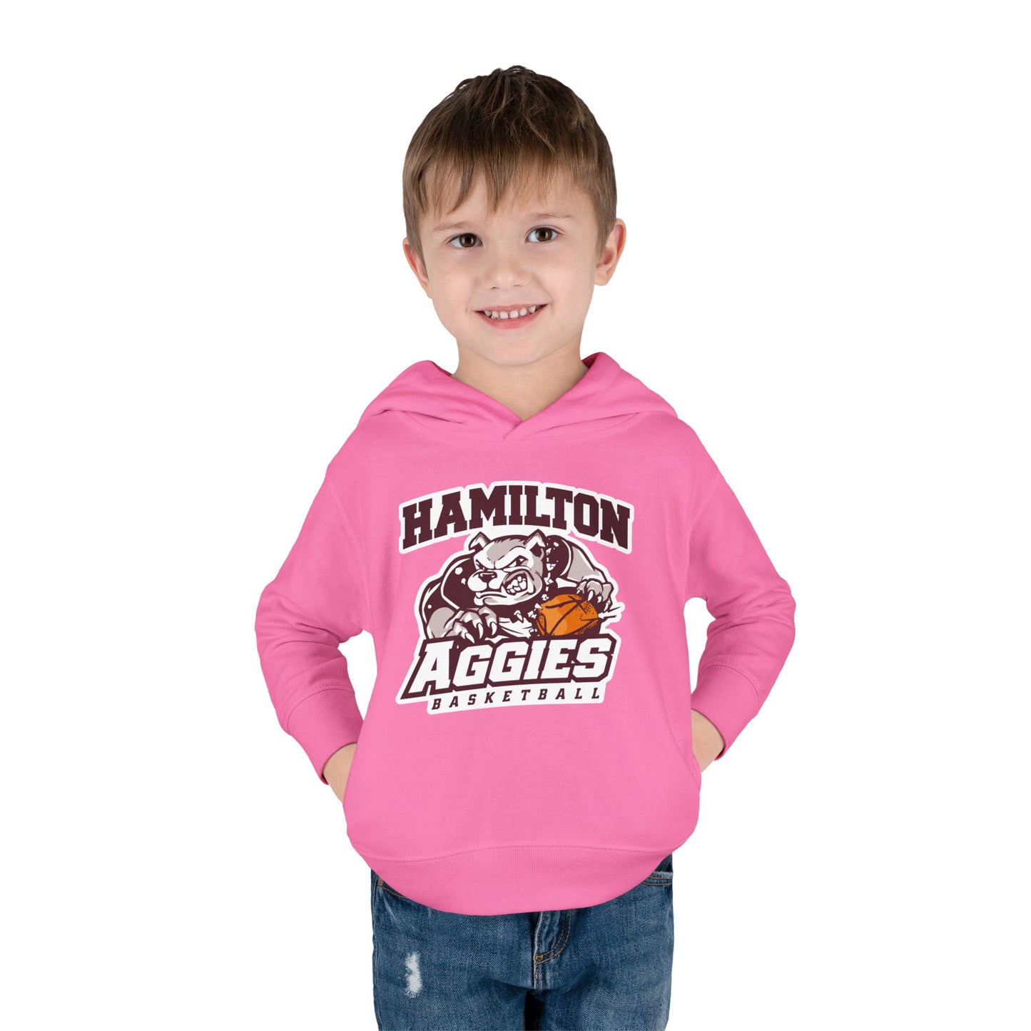 Toddler Hoodie Sweatshirt \ Hamilton Aggies Basketball \ HABB1