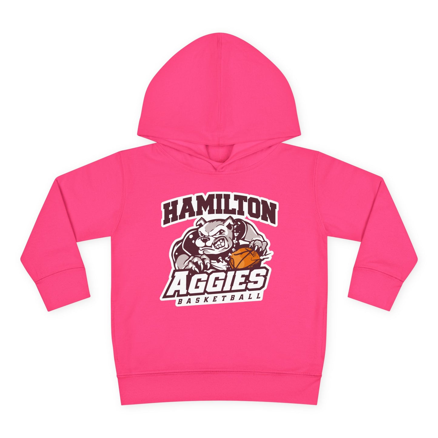 Toddler Hoodie Sweatshirt \ Hamilton Aggies Basketball \ HABB1