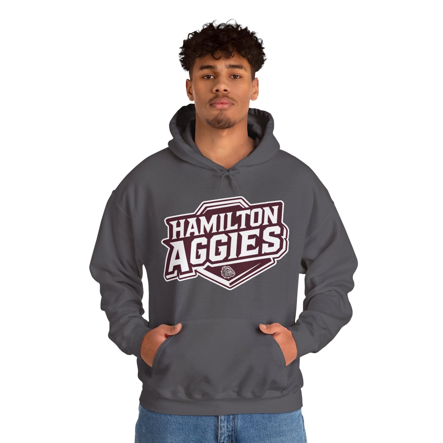 Adult Hoodie Sweatshirt \ Hamilton Aggies \ HA1