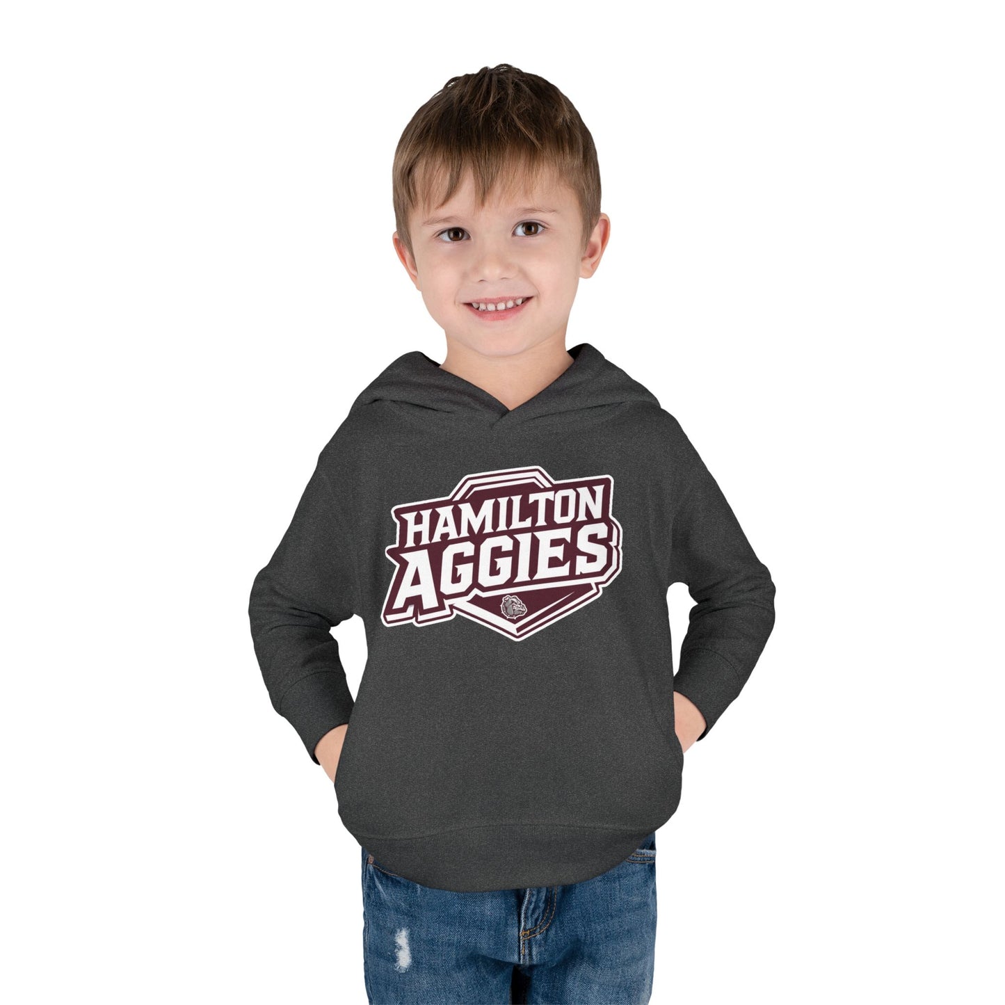 Toddler Hoodie Sweatshirt \ Hamilton Aggies \ HA1
