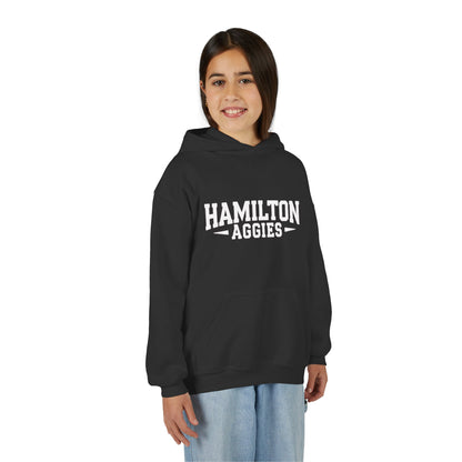 Youth Hoodie Sweatshirt \ Hamilton Aggies \ HA3
