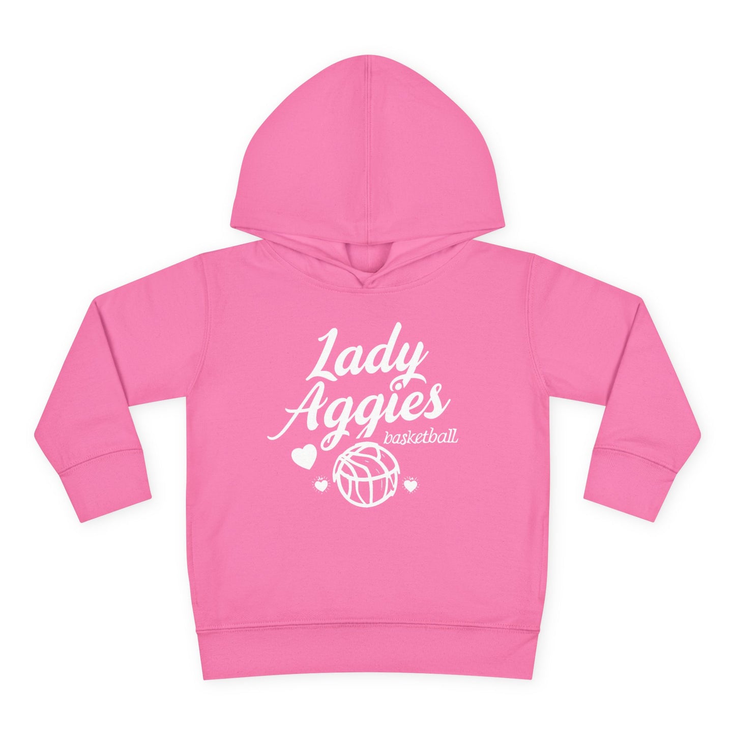 Toddler Hoodie Sweatshirt \ Hamilton Aggies Basketball \ HABBG2