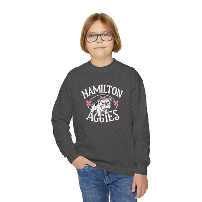 Youth Crewneck Sweatshirt \ Hamilton Aggies \ HAG4