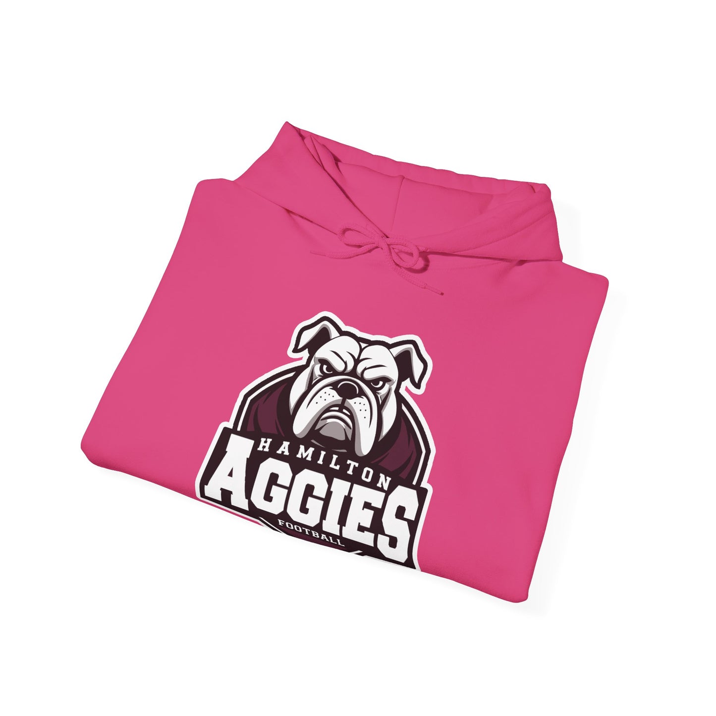 Adult Hoodie Sweatshirt \ Hamilton Aggies Football \ HAF2