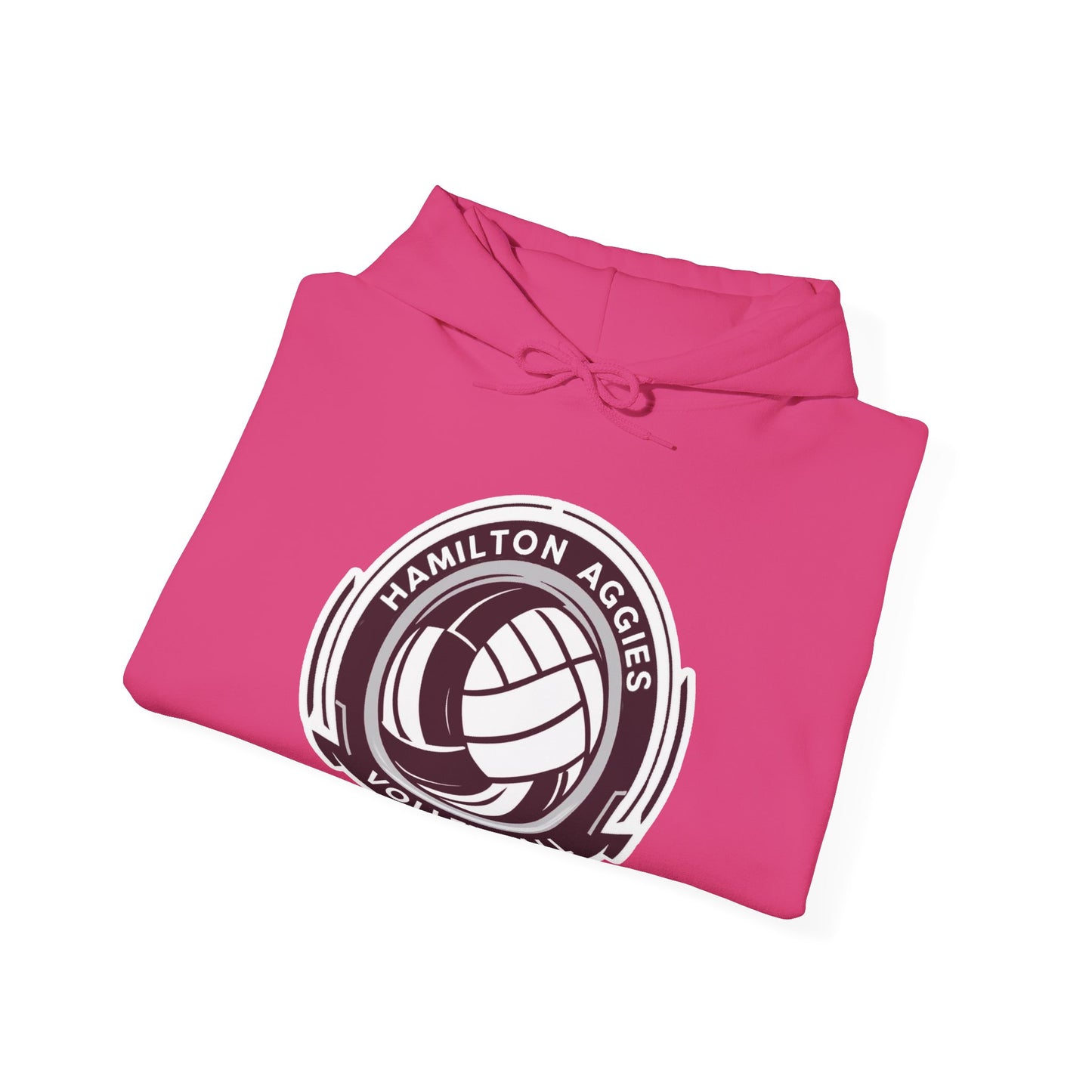 Adult Hoodie Sweatshirt \ Hamilton Aggies Volleyball \ HAV1