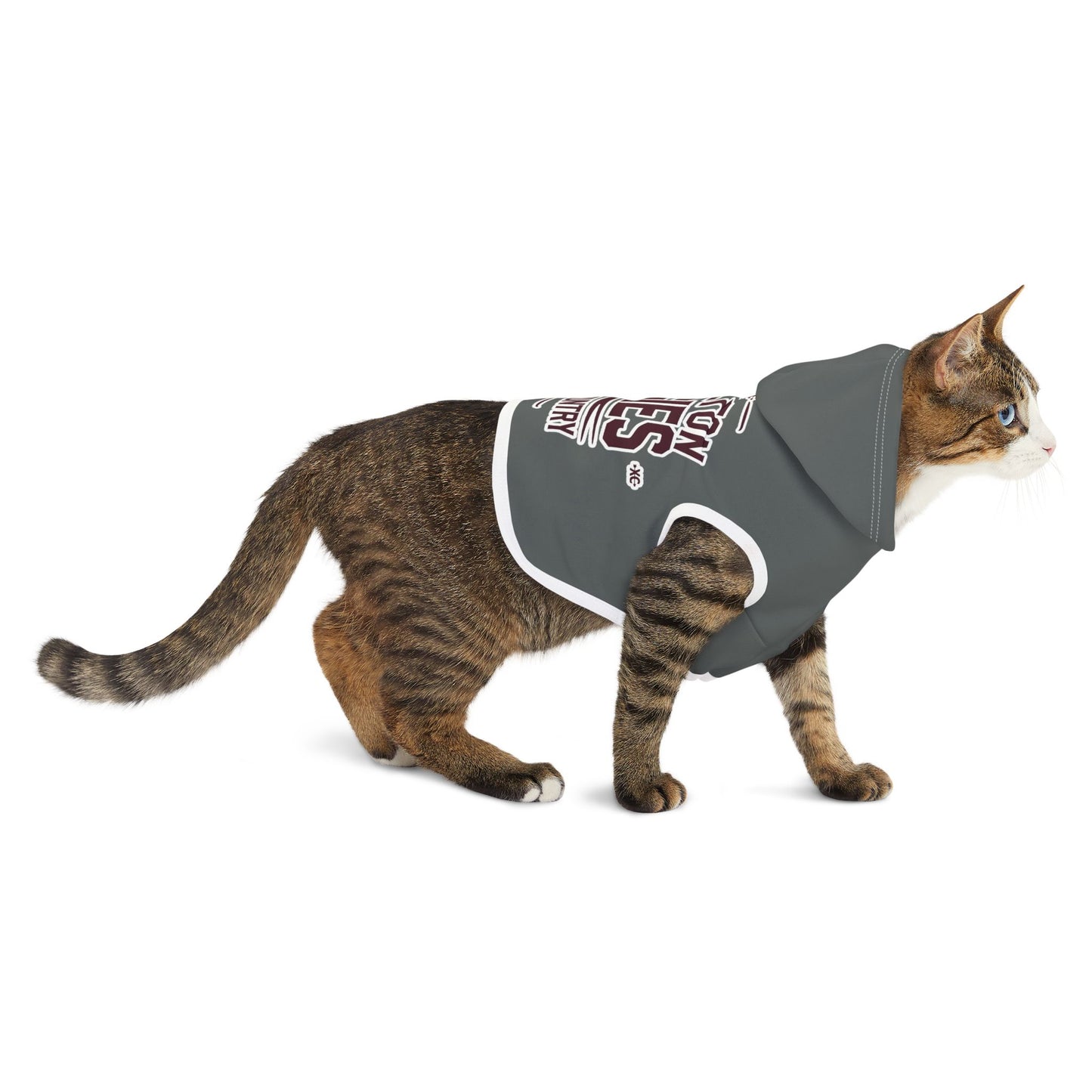 Pet Hoodie \ Hamilton Aggies Cross-Country \ HCC1
