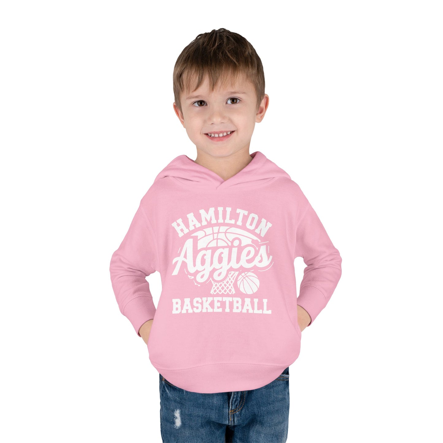 Toddler Hoodie Sweatshirt \ Hamilton Aggies Basketball \ HABBG1