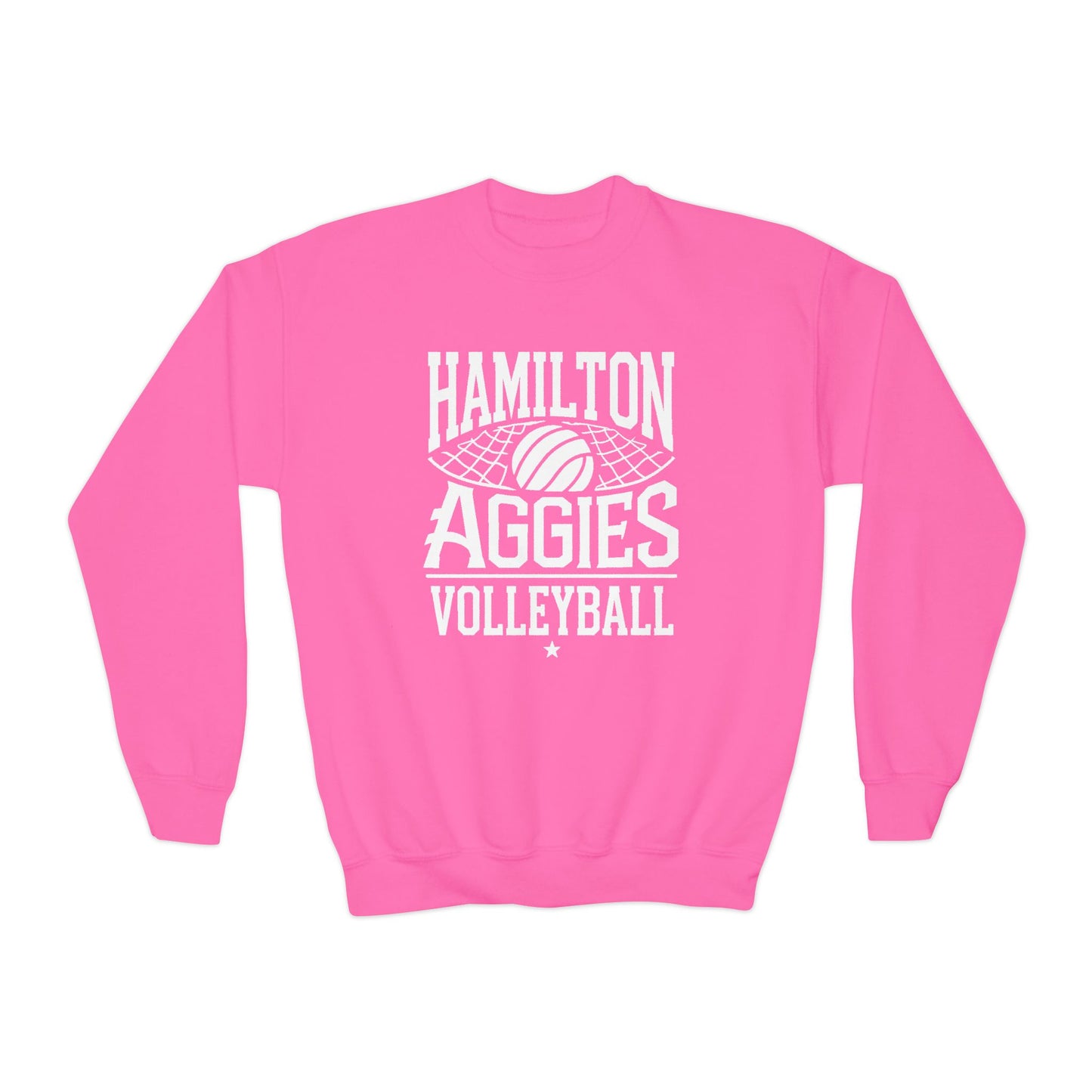 Youth Crewneck Sweatshirt \ Hamilton Aggies Volleyball \ HAV2