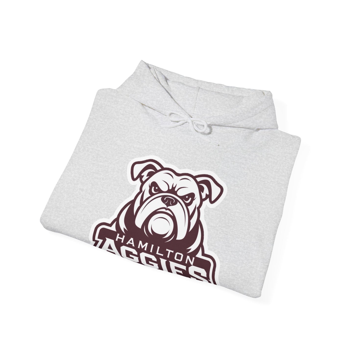 Adult Hoodie Sweatshirt \ Hamilton Aggies \ HA4