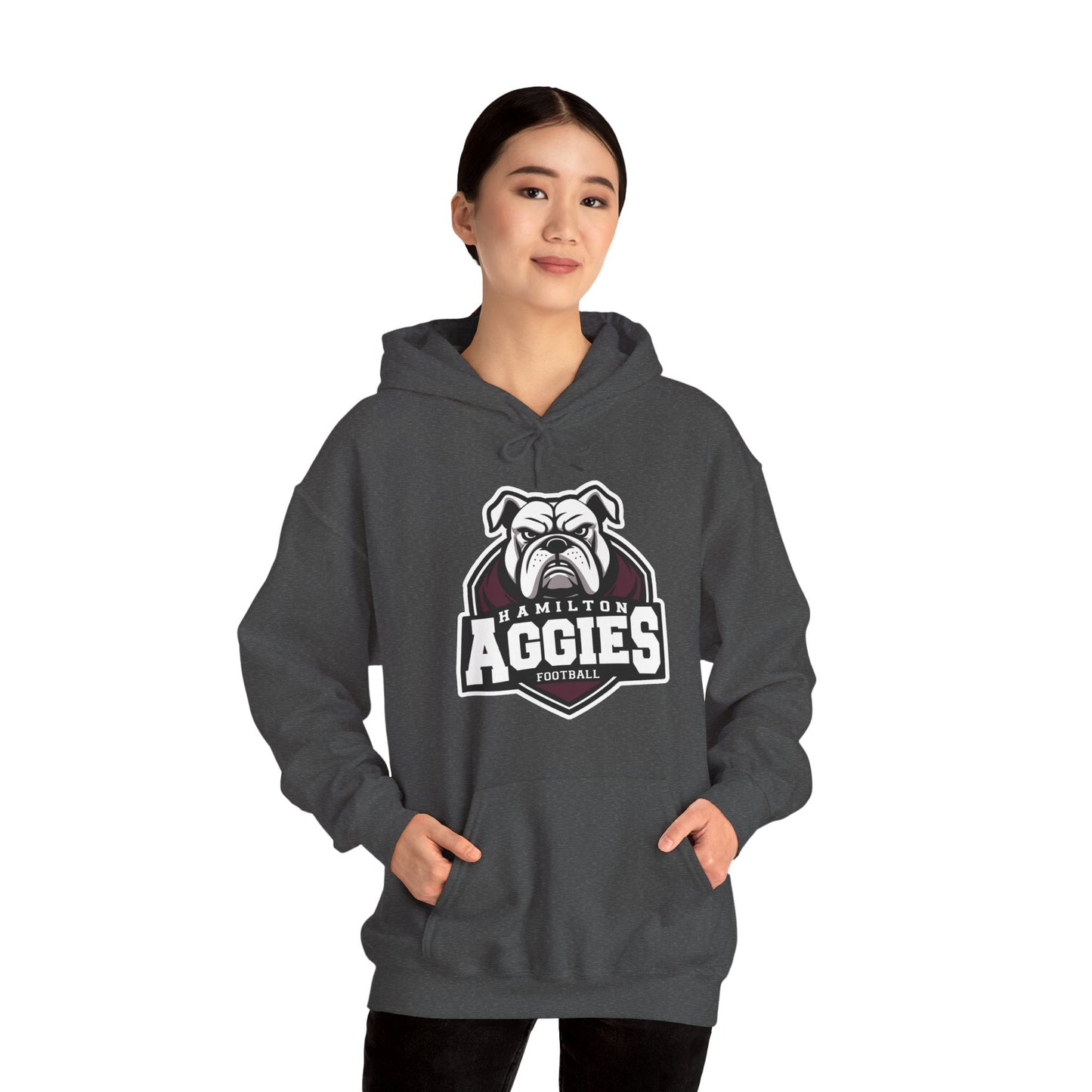 Adult Hoodie Sweatshirt \ Hamilton Aggies Football \ HAF2
