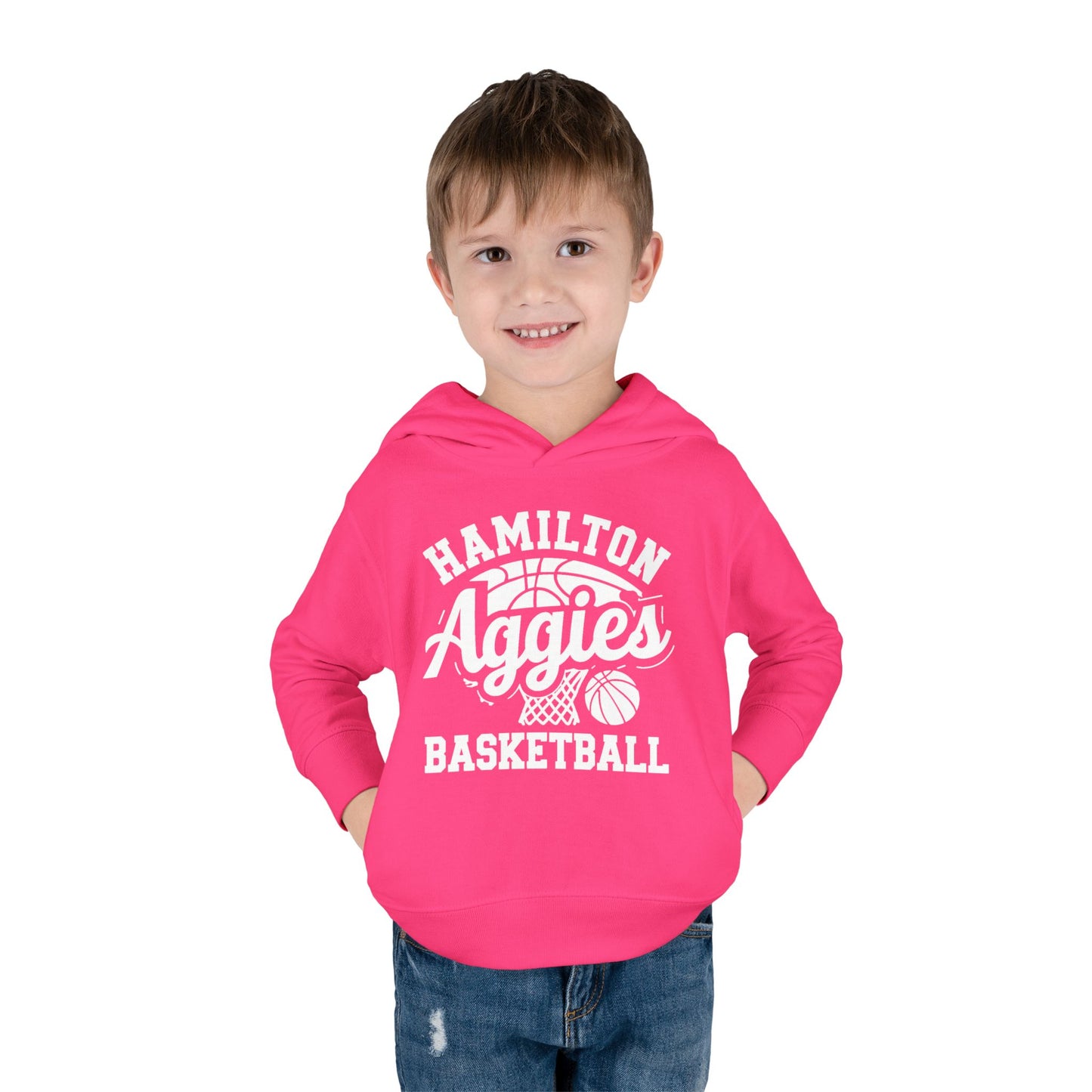 Toddler Hoodie Sweatshirt \ Hamilton Aggies Basketball \ HABBG1