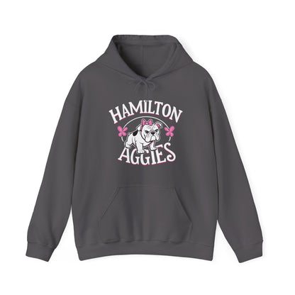 Adult Hoodie Sweatshirt \ Hamilton Aggies \ HAG4