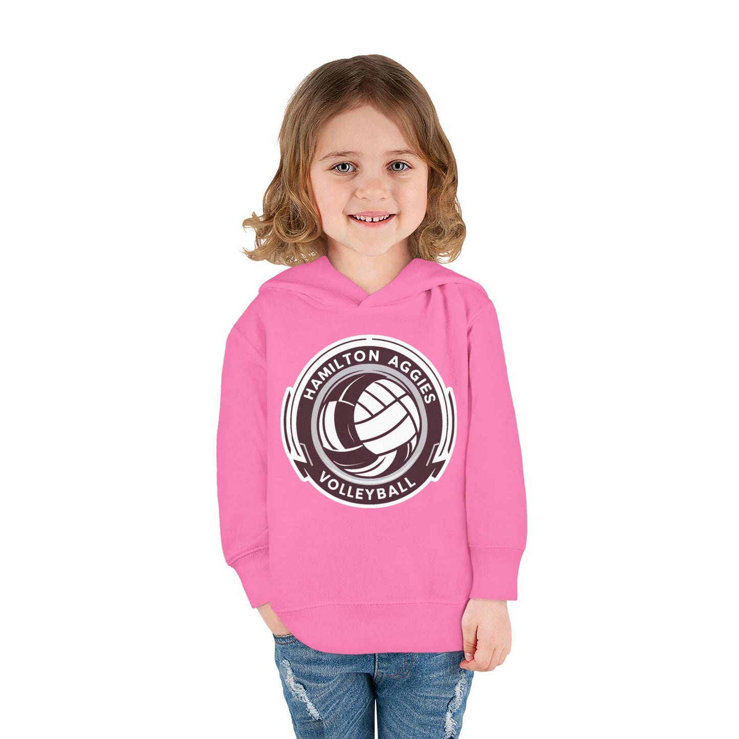 Toddler Hoodie Sweatshirt \ Hamilton Aggies Volleyball \ HAV1