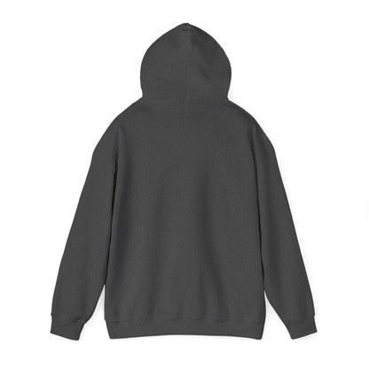 Adult Hoodie Sweatshirt \ Brilliant Tigers Football \ BTF2