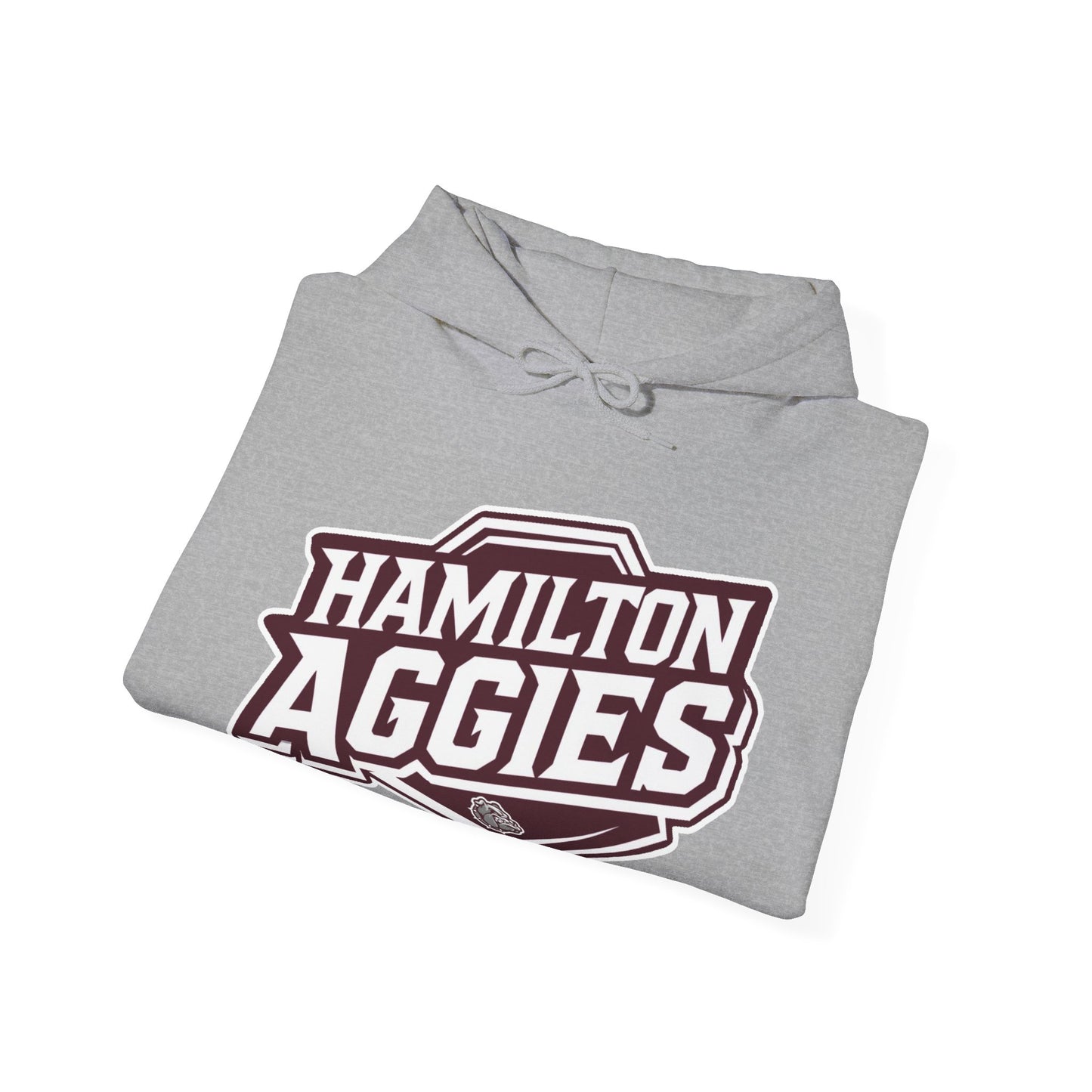 Adult Hoodie Sweatshirt \ Hamilton Aggies \ HA1