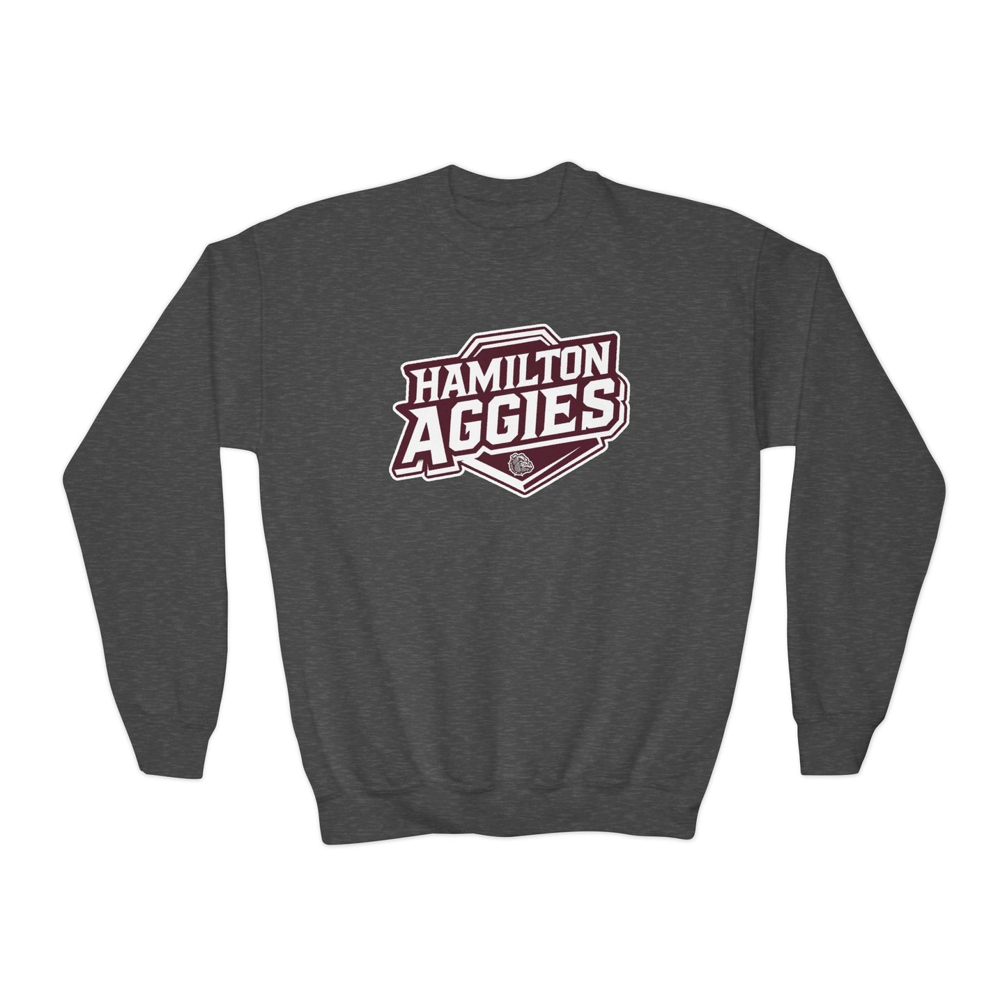 Youth Crewneck Sweatshirt \ Hamilton Aggies \ HA1