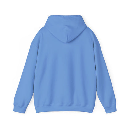 Adult Hoodie Sweatshirt \ Brilliant Tigers Football \ BTF1