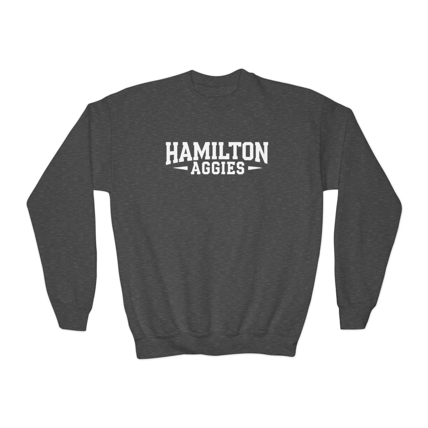 Youth Crewneck Sweatshirt \ Hamilton Aggies \ HA3