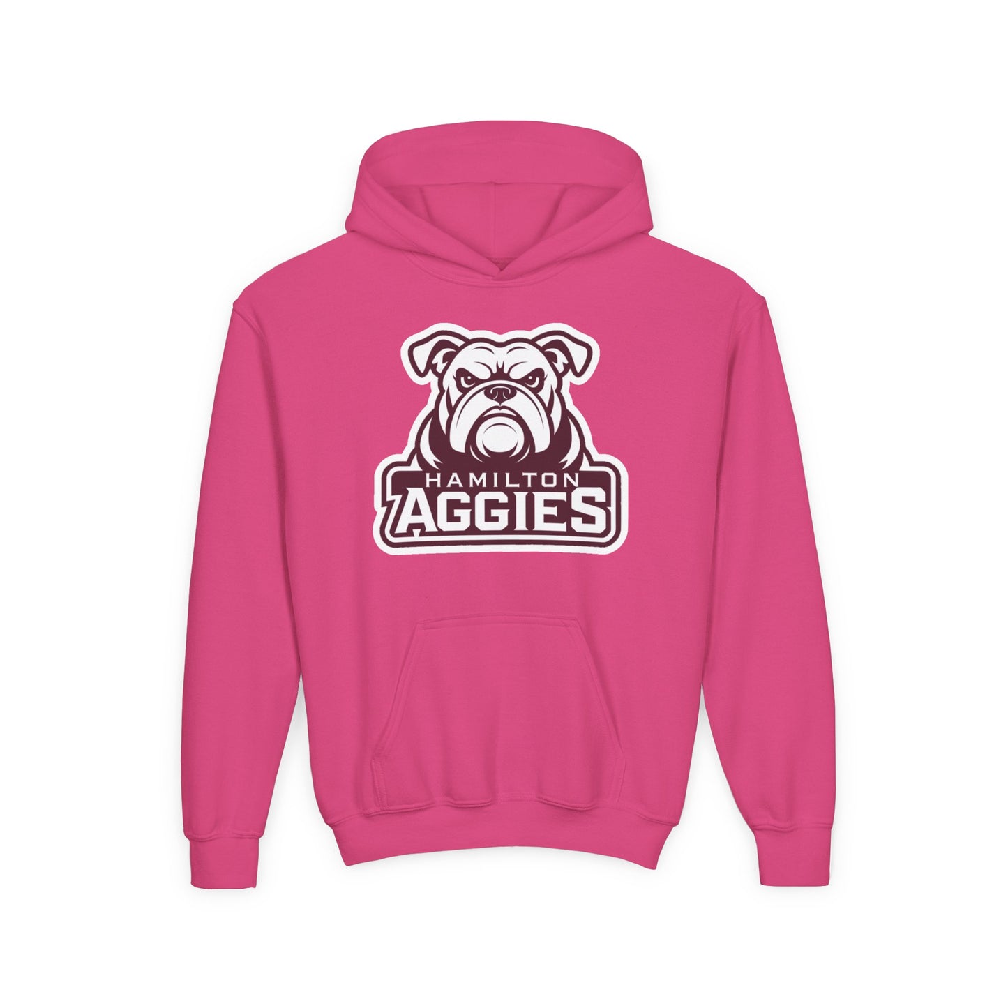 Youth Hoodie Sweatshirt \ Hamilton Aggies \ HA4