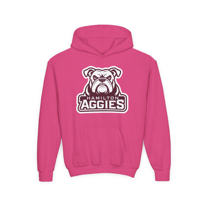 Youth Hoodie Sweatshirt \ Hamilton Aggies \ HA4