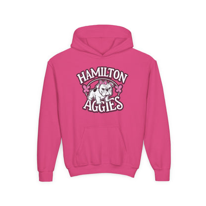 Youth Hooded Sweatshirt \ Hamilton Aggies \ HAG4