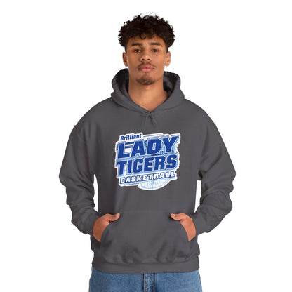 Adult Hoodie Sweatshirt \ Brilliant Tigers Basketball \ BTBKG2