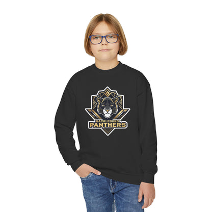 Youth Crewneck Sweatshirt \ Hackleburg Panthers \ HP1